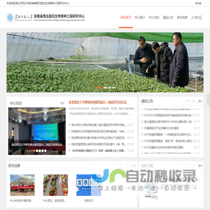 网站截图