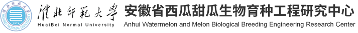 安徽省西瓜甜瓜生物育种工程研究中心